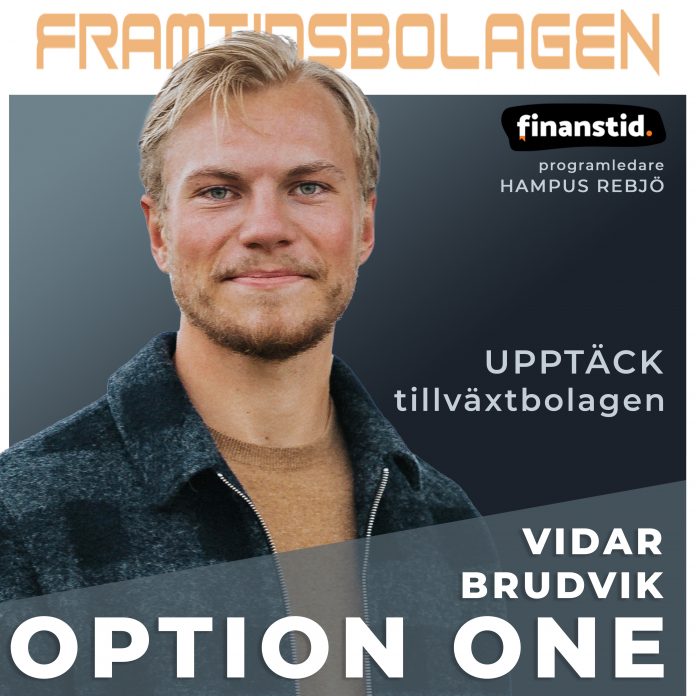 Vidar Brudvik - Option One