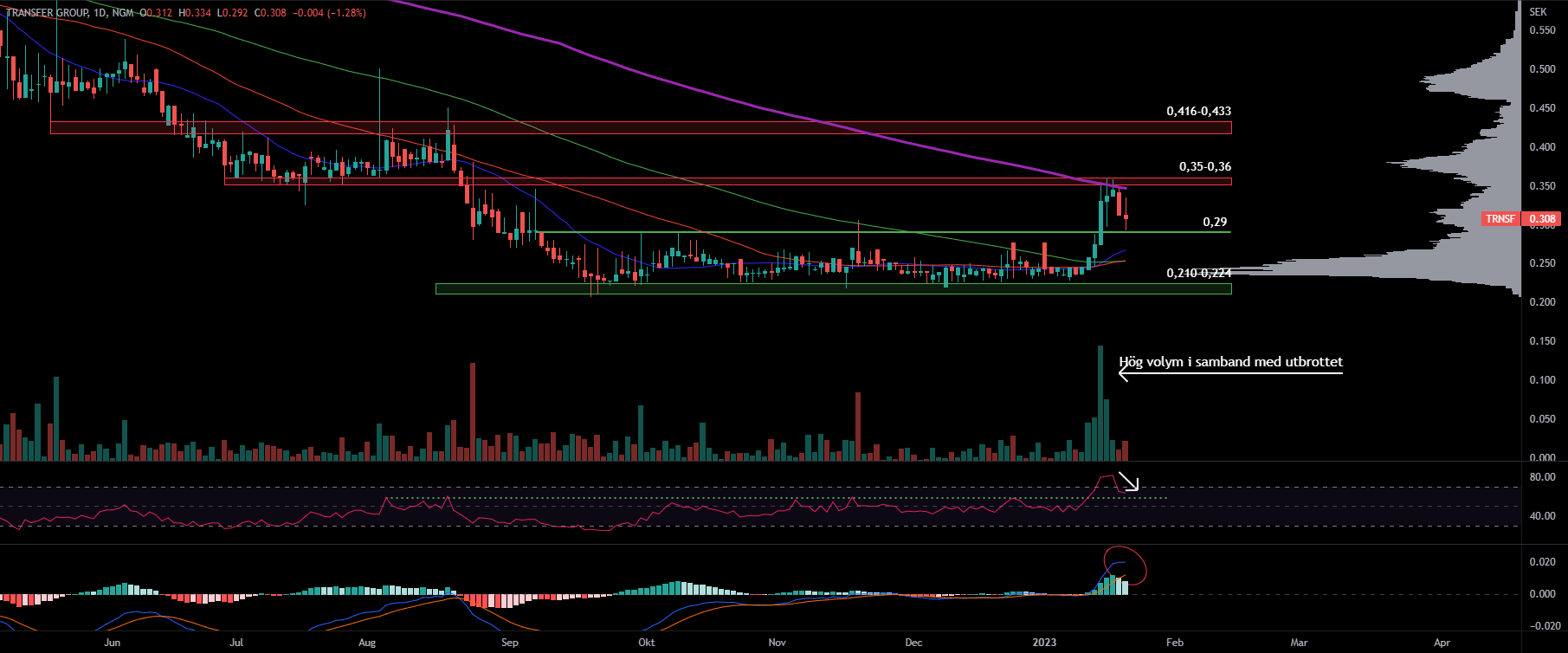 Transfer Group, Daily