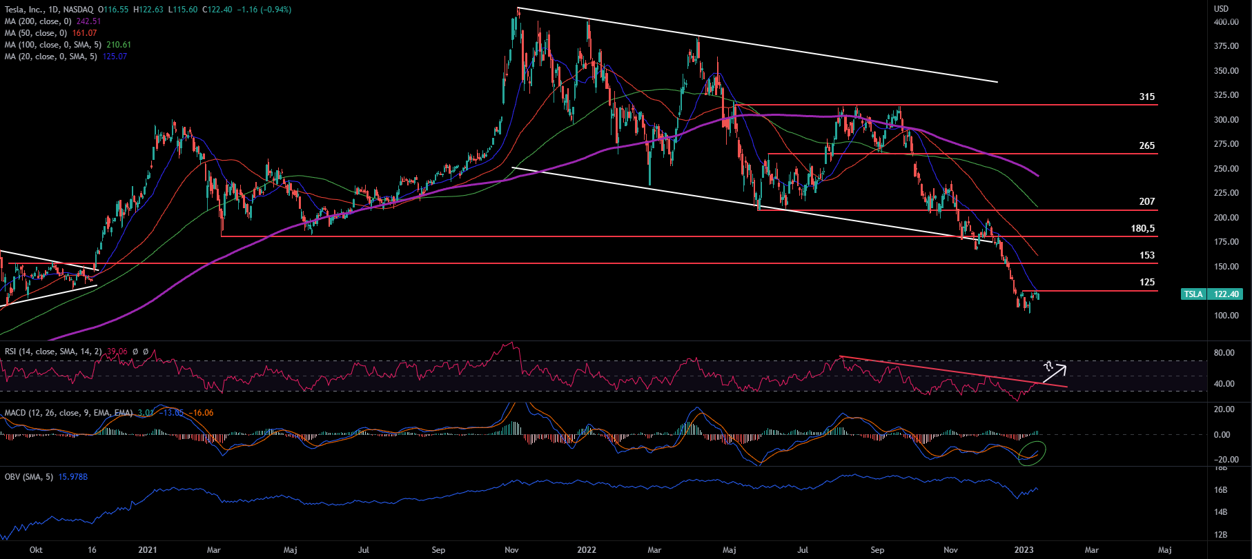 Tesla Inc, Daily