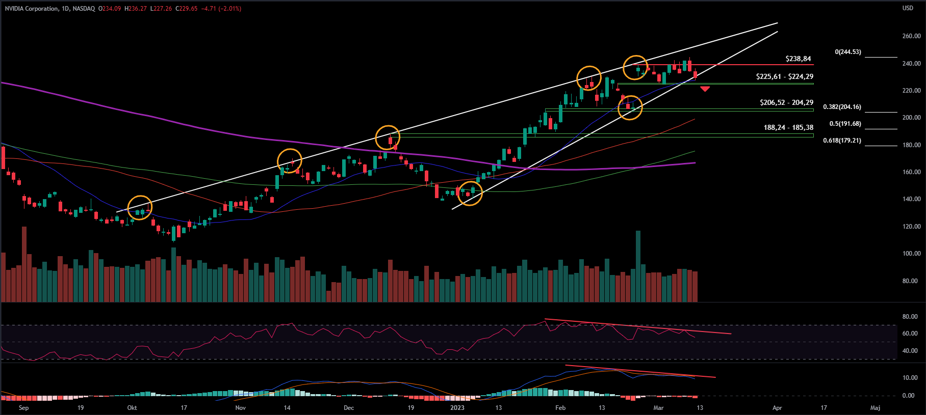 NVIDIA, Daily
