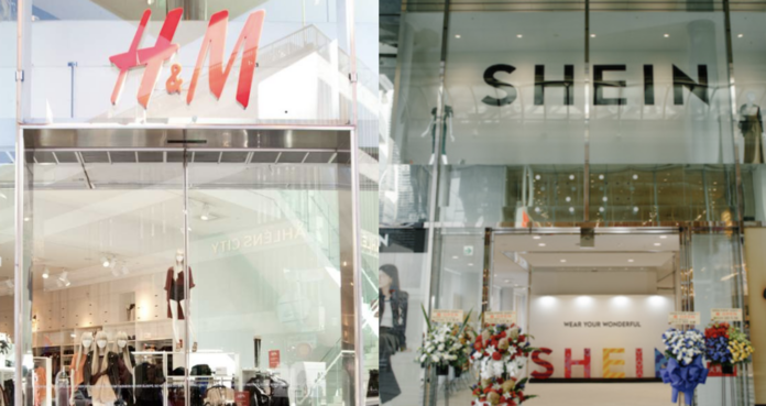 h&m shein