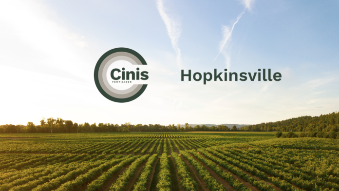 Cinis