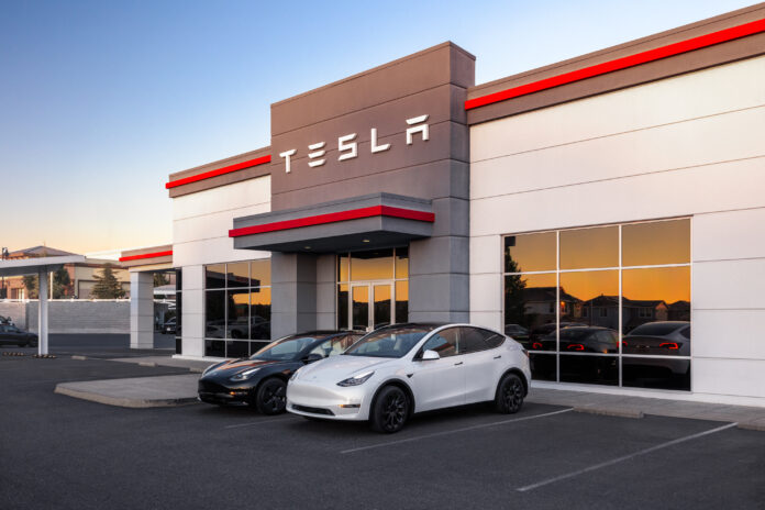 tesla registreringsskyltar