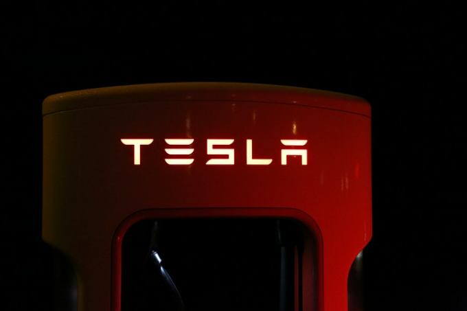 Elon musk rådgivare