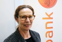 HD tar upp fallet Bonnesen – svindleridomen under lupp igen Birgitte Bonnesen Högsta domstolen prövning